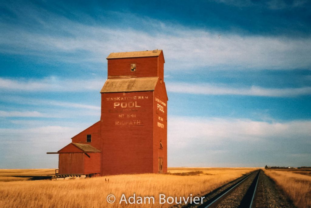 An old Prairie giant - Ridpath, SK, Oct 2003. Contributed by Adam Bouvier.