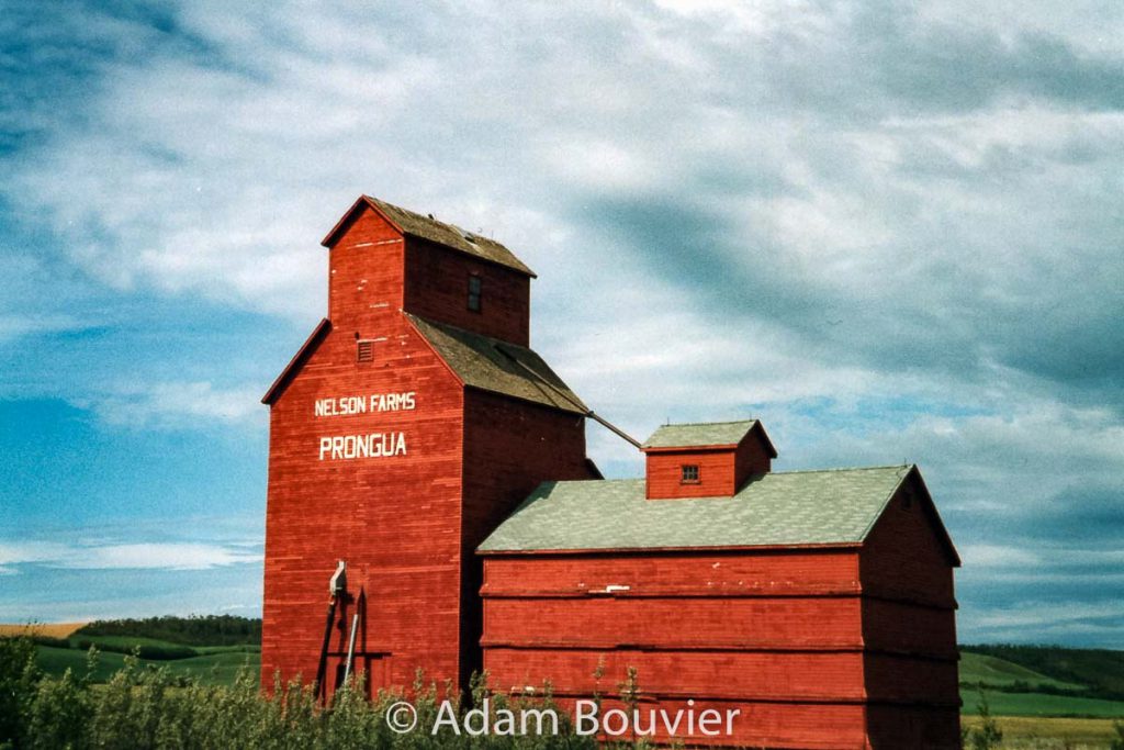 The Prongua, SK grain elevator, August 2002. Contributed by Adam Bouvier.