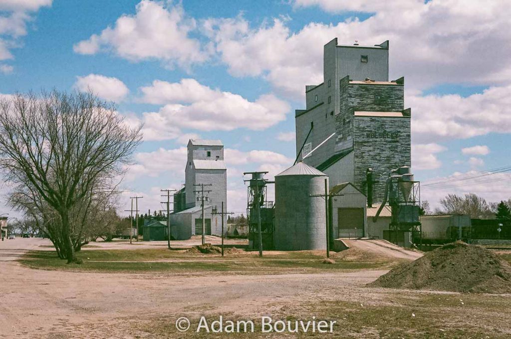 The grain elevators in Wolseley, SK, April 2017. Contributed by Adam Bouvier.