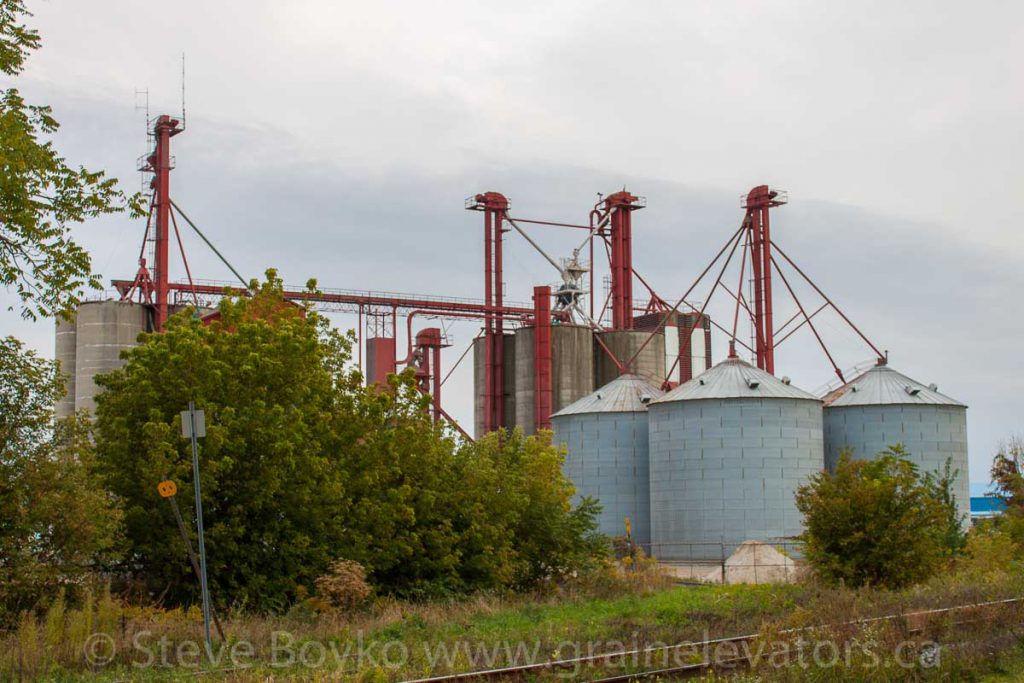 The grain elevator complex in Chatham, Ontario. September 2012.