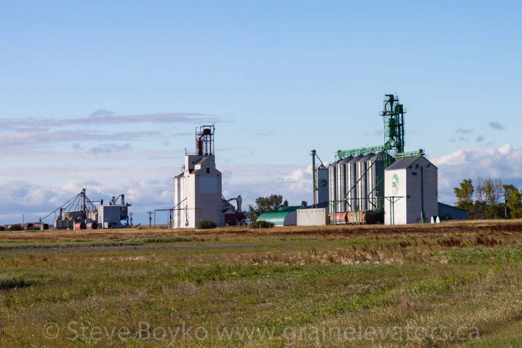 Rowatt grain elevators, August 2011