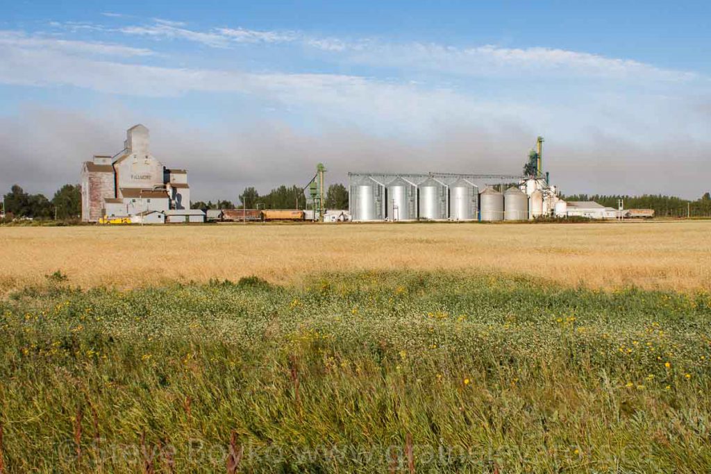 Fillmore grain elevator and bins, August 2015