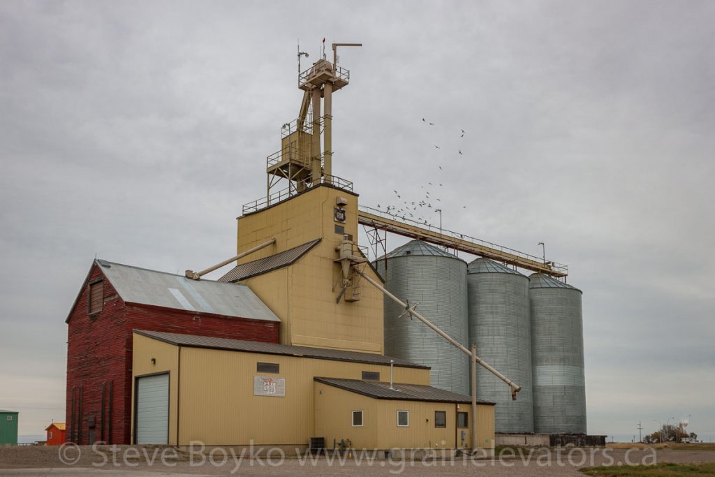 Parrish & Heimbecker grain elevator in Magrath, AB. October 2014.