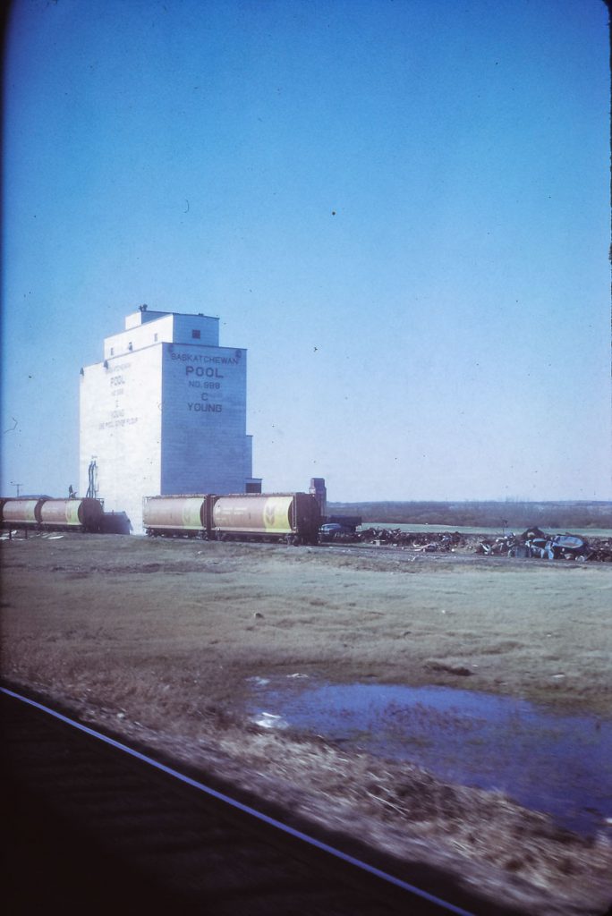 Young, SK grain elevator, 1972. Contributed by Eric May.