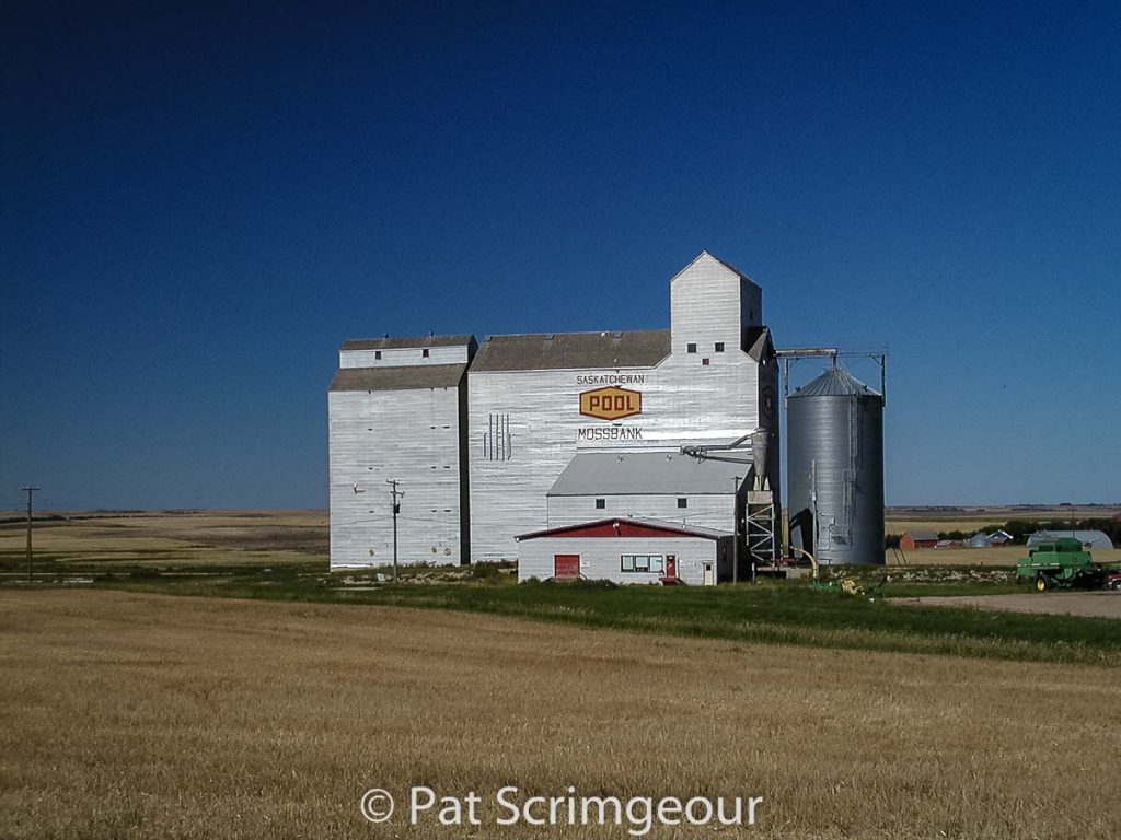 Mossbank, SK grain elevator, September 2002. Contributed by Pat Scrimgeour.