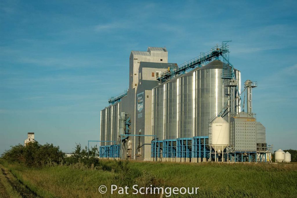 Redvers, SK grain elevators, July 2005. Contributed by Pat Scrimgeour.