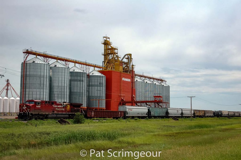 Pioneer grain elevator in Estevan, SK, July 2005. Contributed by Pat Scrimgeour.