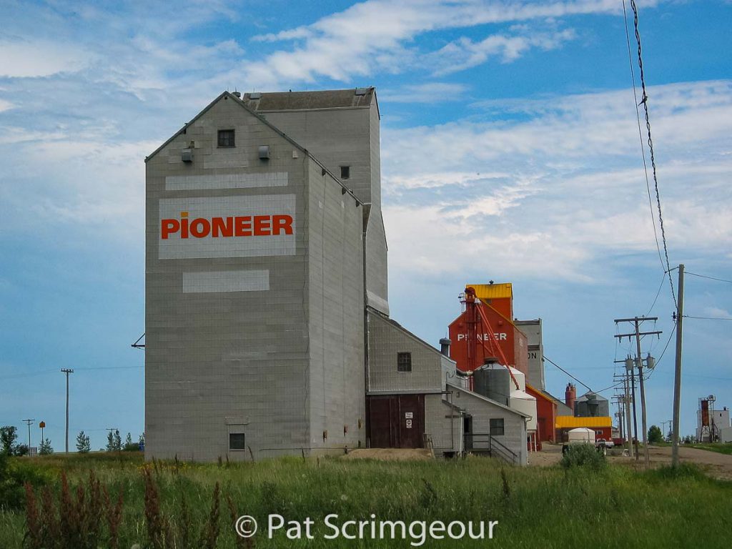 Grain elevators in Wilcox, SK, July 2005. Contributed by Pat Scrimgeour.