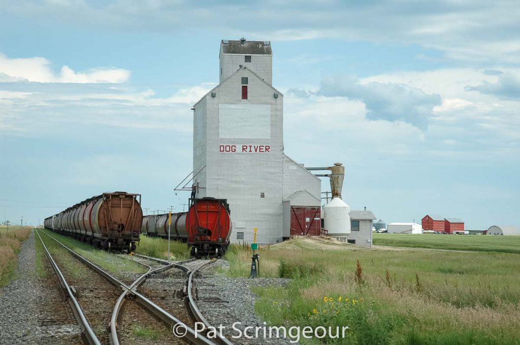 Rouleau, SK aka "Dog River" grain elevator, July 2005. Contributed by Pat Scrimgeour.