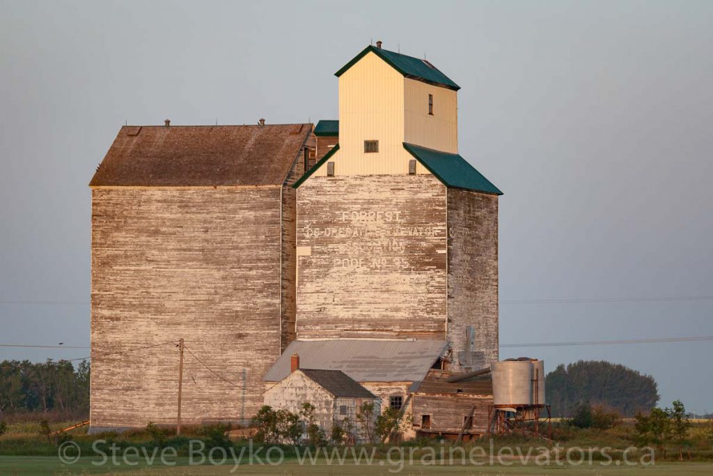 Forrest, MB grain elevator, Aug 2014. Contributed by Steve Boyko. 