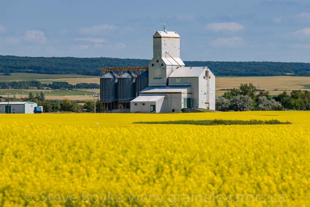 Goodlands, MB grain elevator, Aug 2014. Contributed by Steve Boyko.