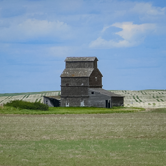 Granary near Hilda, AB, June 2017. Contributed by Michael Truman.