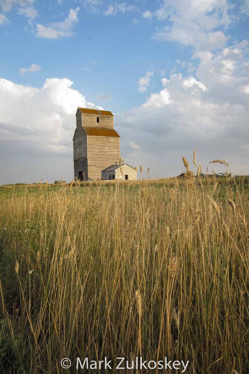 Maxim, SK grain elevator. Contributed by Mark Zulkoskey.