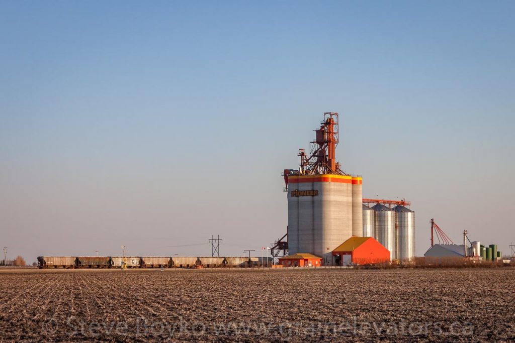 The Pioneer grain elevator at Mollard outside Brunkild, MB, May 2015. Contributed by Steve Boyko.