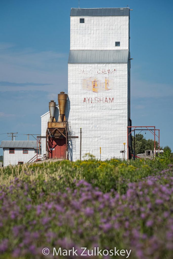 Aylsham, SK grain elevator. Contributed by Mark Zulkoskey.