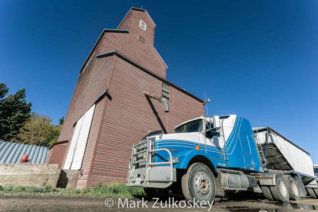 Beuker's grain elevator in Ranger, SK, 2016. Contributed by Mark Zulkoskey.