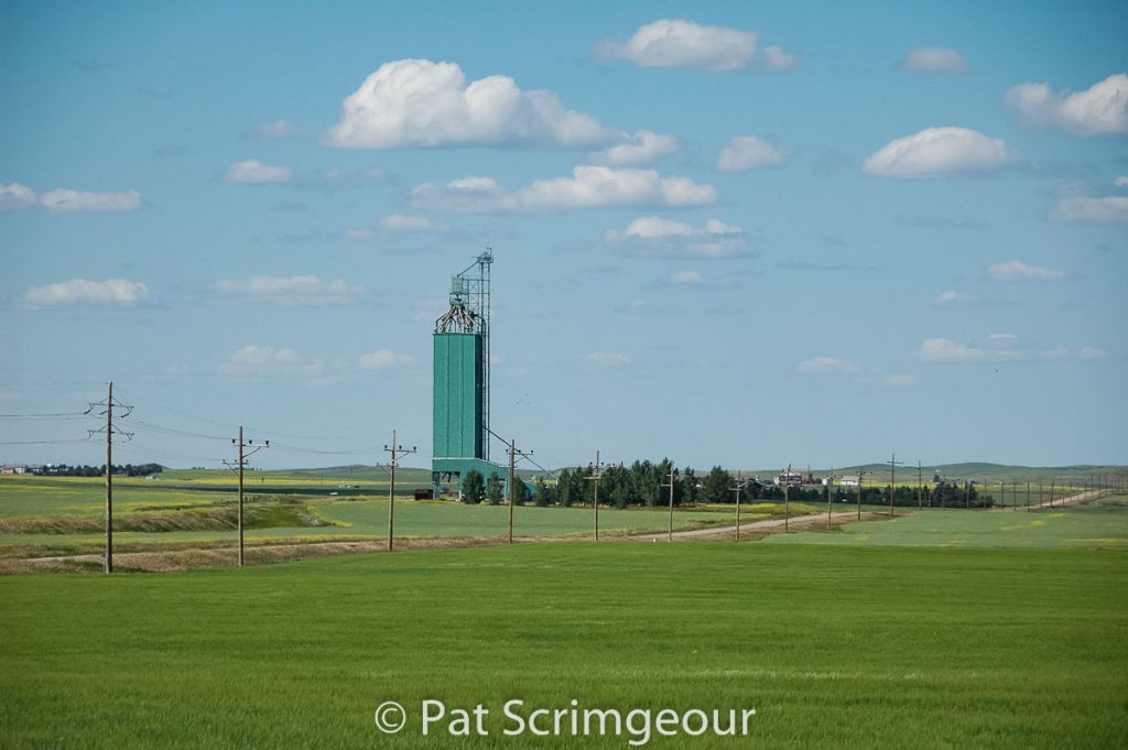 Starland, AB grain elevator, July 2008. Contributed by Pat Scrimgeour.