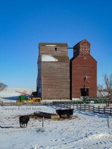 Grain elevator near Loverna, SK. Contributed by BW Bandy.