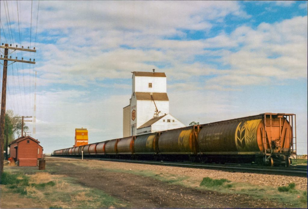 Grain elevators at Maple Creek, SK, May 1989. Copyright by Robert Boyd.