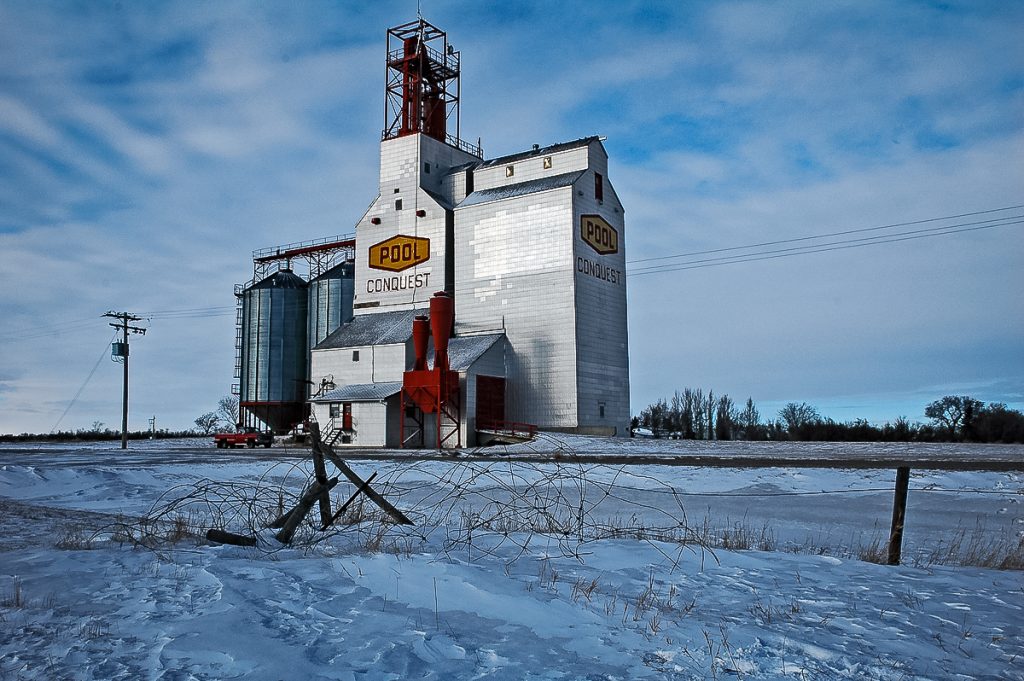 Saskatchewan Wheat Pool grain elevator in Conquest, SK, Jan 2007. Copyright by Gary Rich.