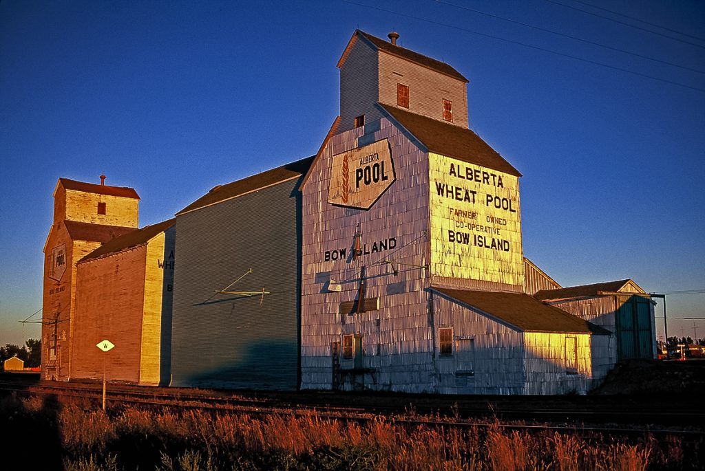 Bow Island, AB grain elevators, Sep 1995. Copyright by Gary Rich.