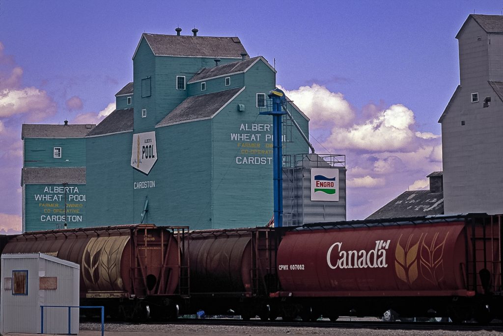 Alberta Wheat Pool grain elevator in Cardston, AB, May 1992. Copyright by Gary Rich.