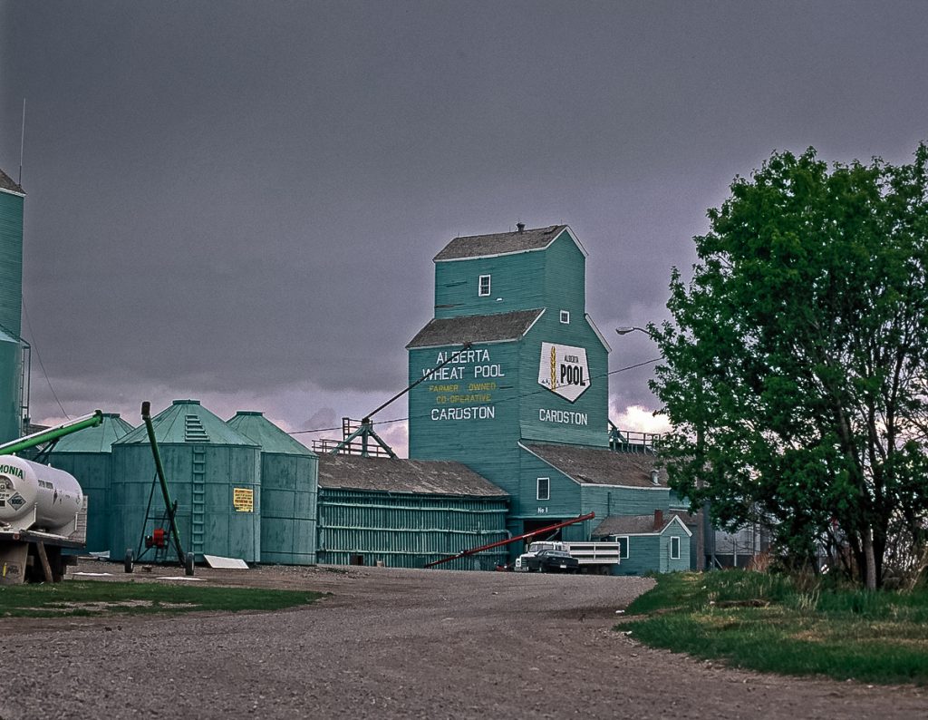 Cardston, AB grain elevator, May 1992. Copyright by Gary Rich.