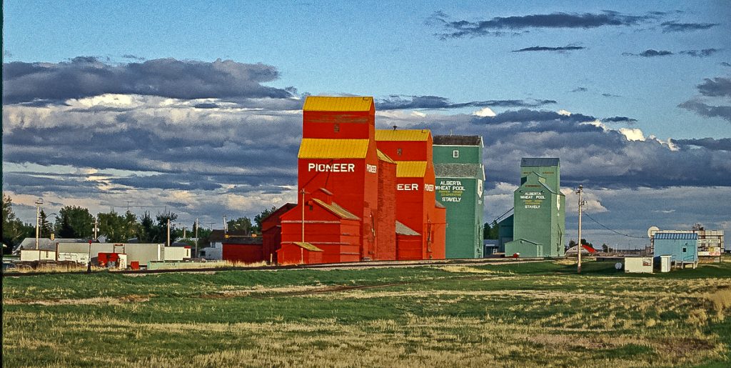 Stavely, AB grain elevators, May 1992. Copyright by Gary Rich.