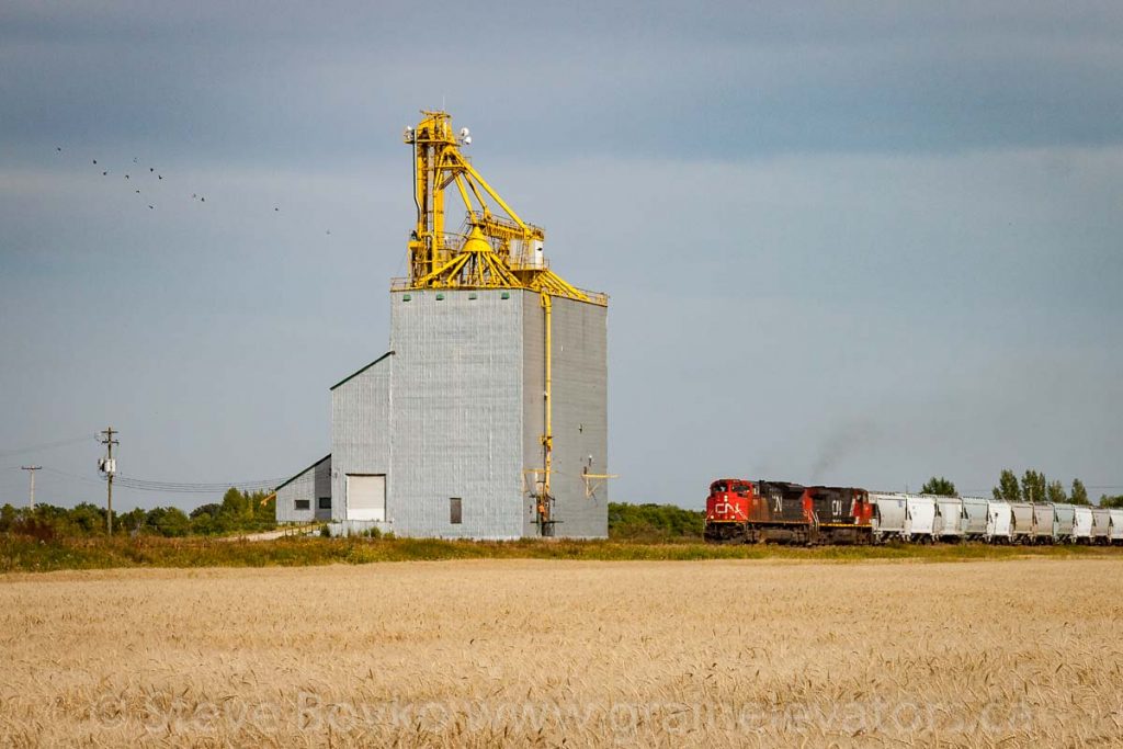Train passing the Elie, MB grain elevator, Aug 2017. Contributed by Steve Boyko.
