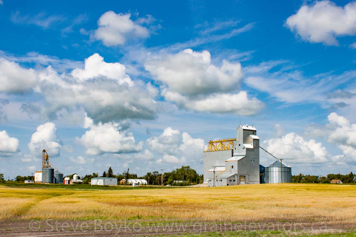 The grain elevator in Elgin, Manitoba, Aug 2014. Contributed by Steve Boyko.
