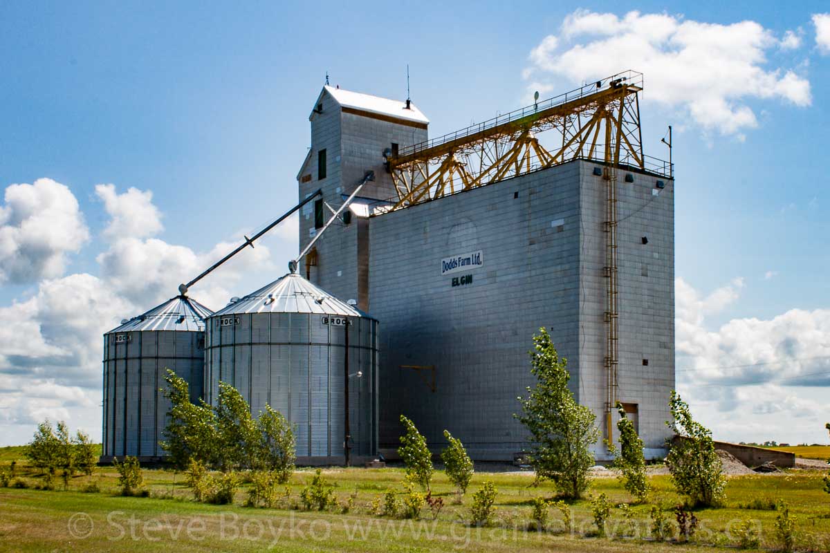 The grain elevator in Elgin, Manitoba, Aug 2014. Contributed by Steve Boyko.