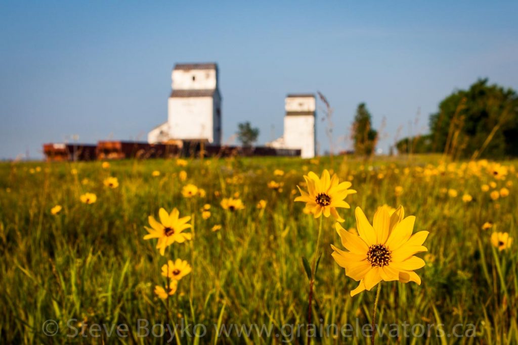 Napinka, MB grain elevators, Aug 2014. Contributed by Steve Boyko.