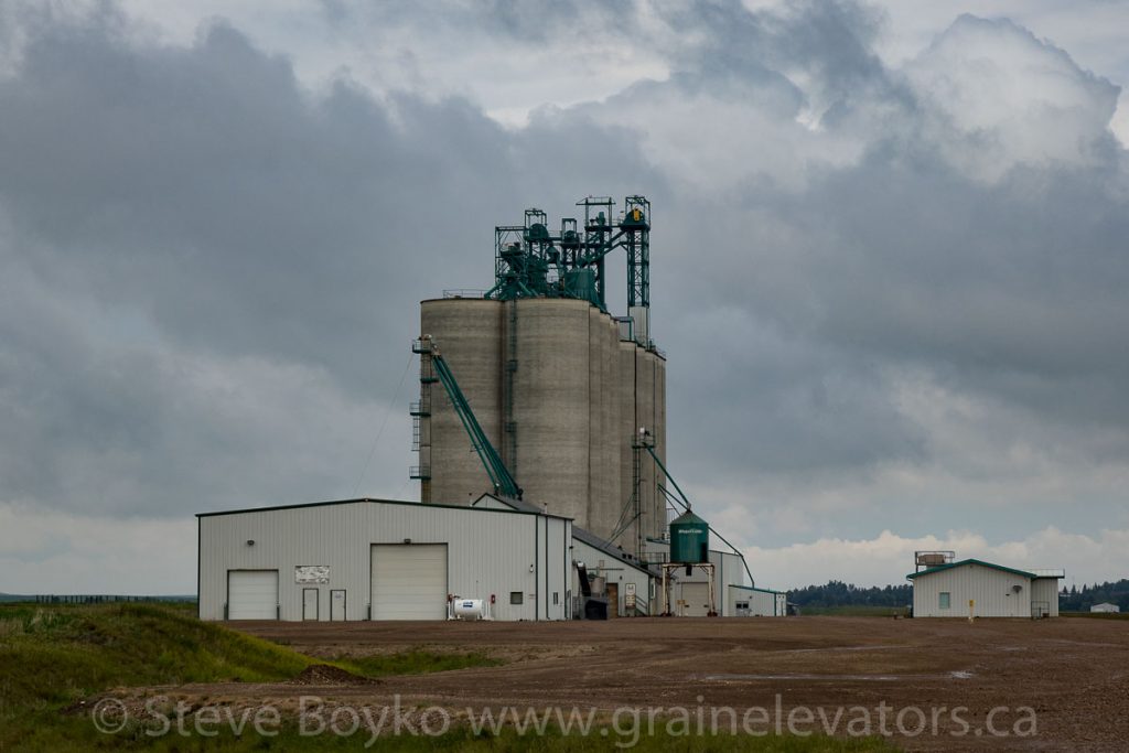 Viterra grain elevator near Trochu, AB, June 2018. Contributed by Steve Boyko.