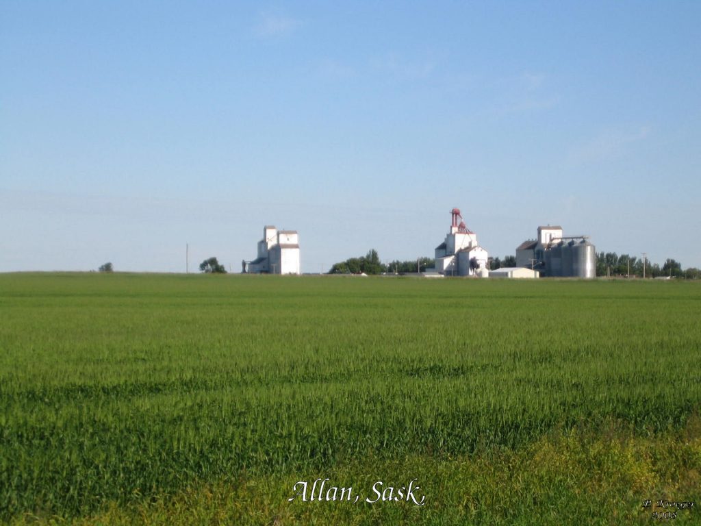 Grain elevators near Allan, SK. Copyright by Peter Kroeger.