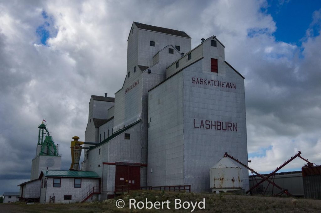 The grain elevators in Lashburn, SK, 2018. Contributed by Robert Boyd.