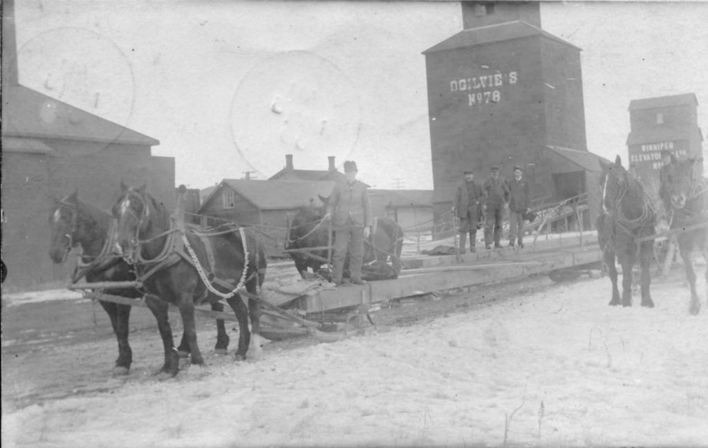 Grain elevators in Pense, SK, 1908.