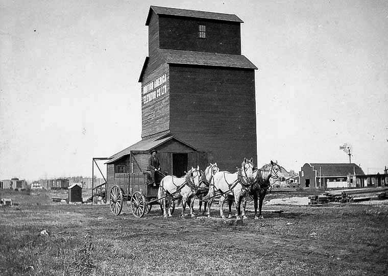 Swan River grain elevator and horse team, 1908.