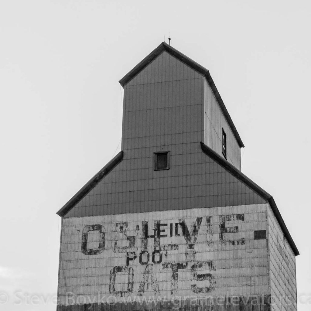 Ogilvie Oats on the Kaleida grain elevator, July 2014. Contributed by Steve Boyko.