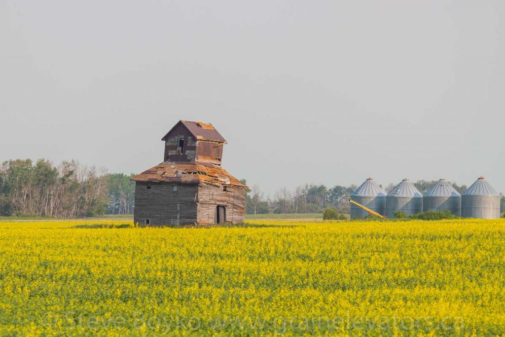 An old farm elevator near Purves, MB, July 2014. Contributed by Steve Boyko.