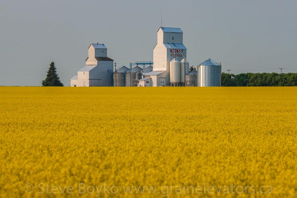 The grain elevators in Purves, MB, July 2014. Contributed by Steve Boyko.
