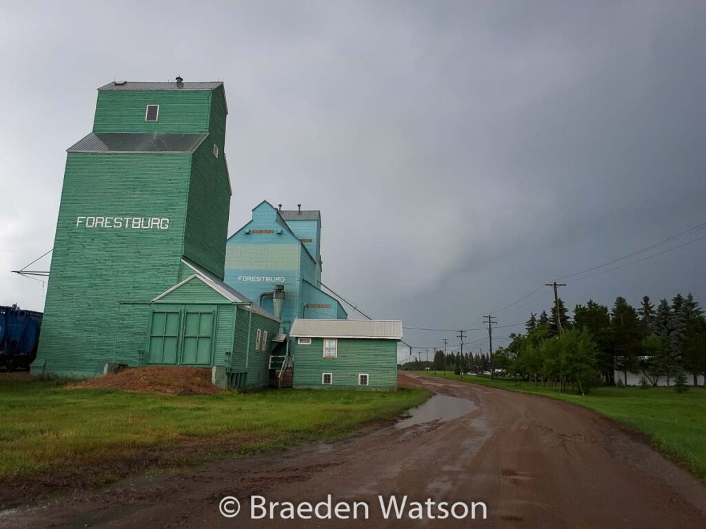 Forestburg AB grain elevators, July 2020. Contributed by Braeden Watson.