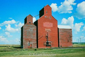 Duval, SK grain elevators, 2017. Contributed by Adam Bouvier.