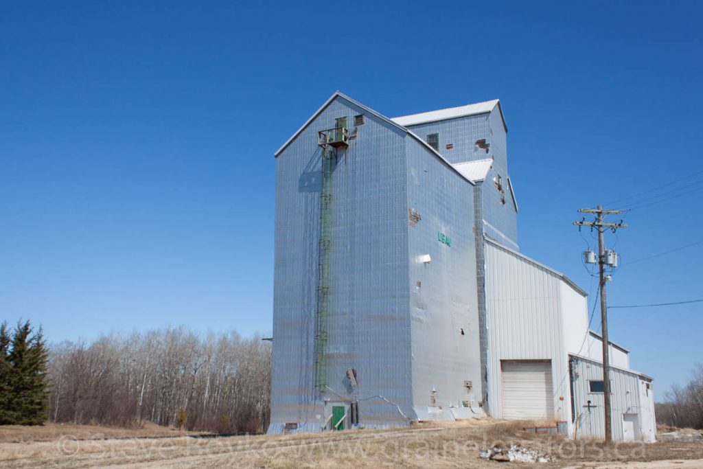 Libau, MB grain elevator, May 2013. Contributed by Steve Boyko.