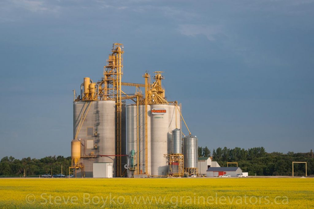The Starbuck grain elevator, Aug 2014. Contributed by Steve Boyko.