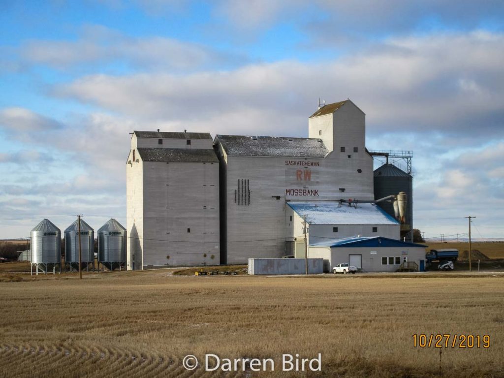 Mossbank, SK grain elevator, Oct 2019. Contributed by Darren Bird.