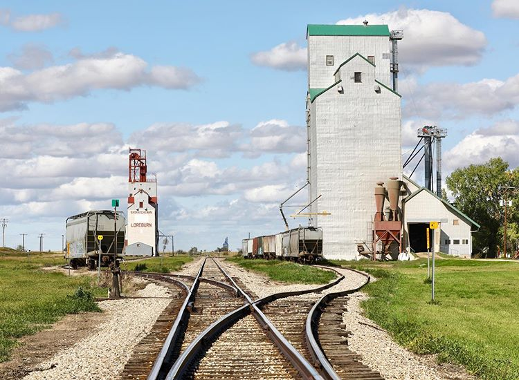 Grain elevators in Loreburn, SK, 2019. Copyright by Robert Lundin.