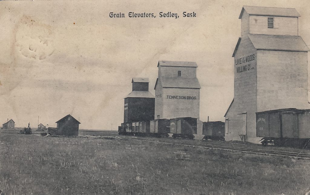 Grain elevators in Sedley, SK, date unknown