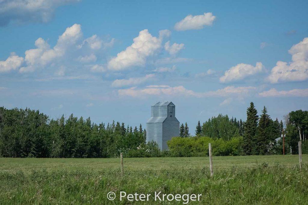 Grain elevator in Belbutte, SK. Contributed by Peter Kroeger.