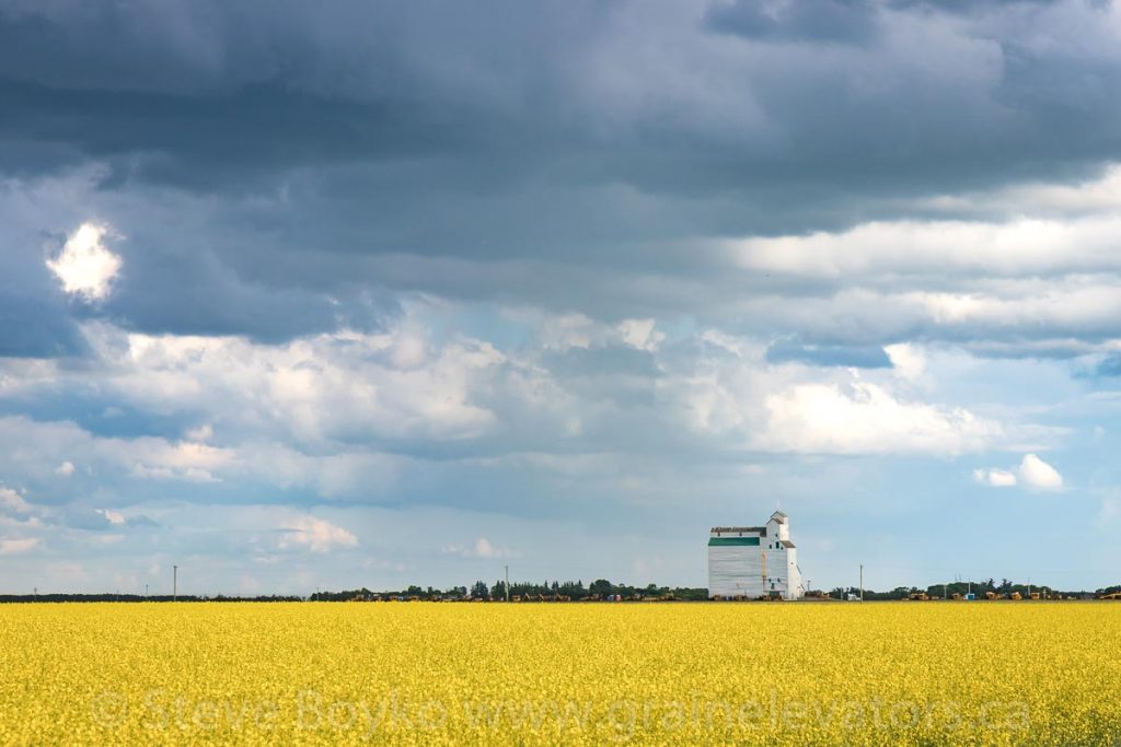 Grain elevator at Harte, Manitoba, July 2020. Contributed by Steve Boyko.