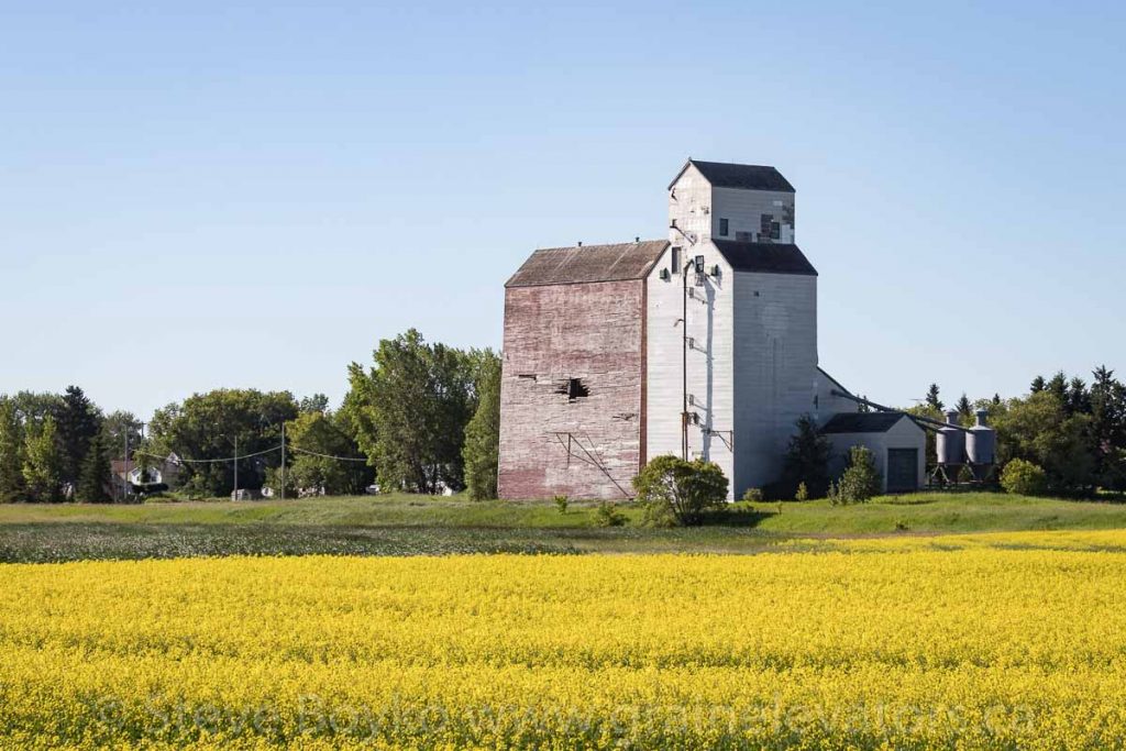 Oakburn grain elevator, July 2020. Contributed by Steve Boyko.